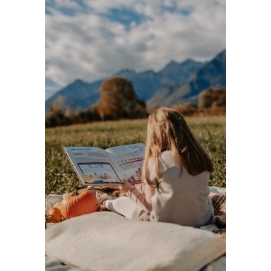 Quoi, Comment, Pourquoi. Les Volcans
