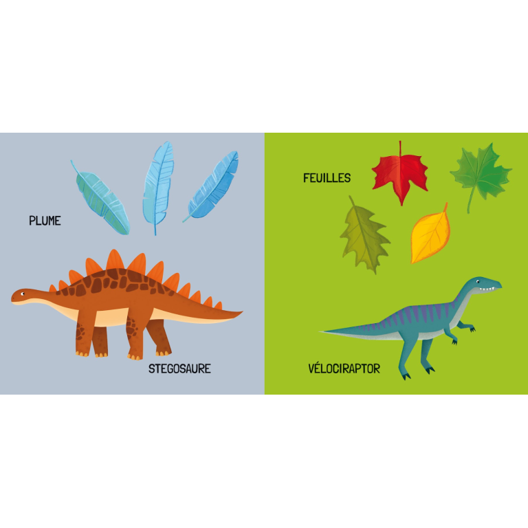 Q-box. Les Dinosaures