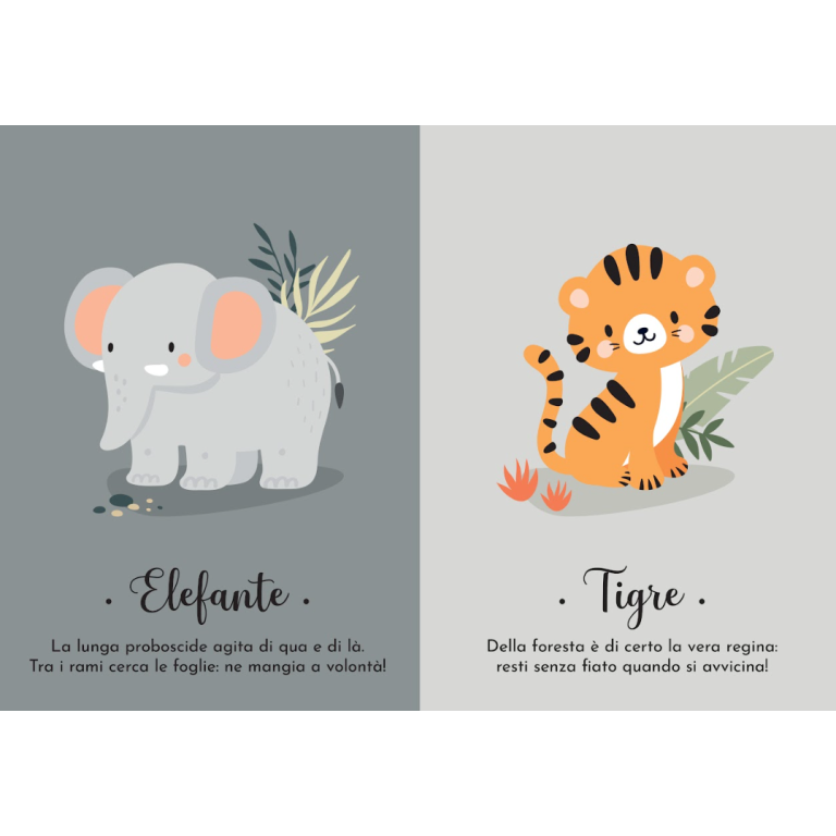 Mes premières cartes. La nature