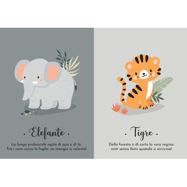 Mes premières cartes. La nature