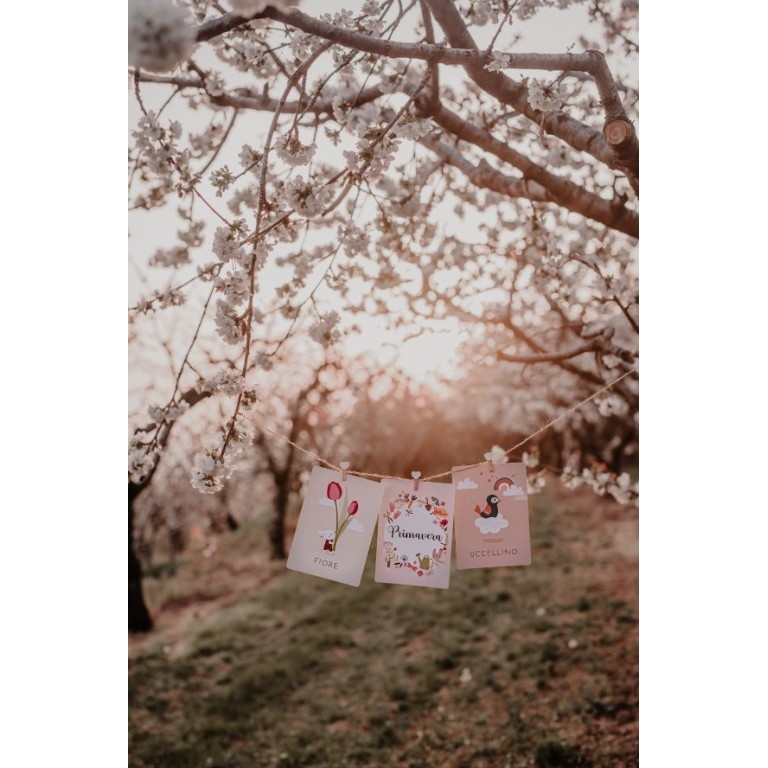 Mes prèmieres cartes. Les saisons