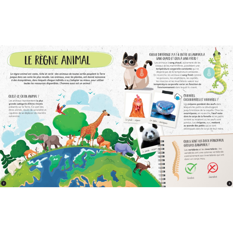 Le coffret du méga atlas des animaux