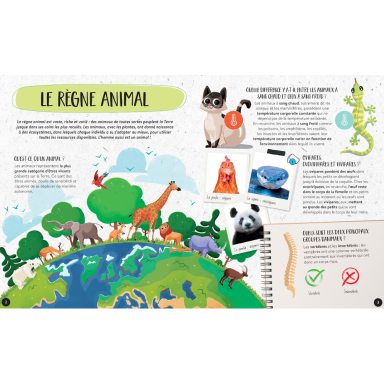 Le coffret du méga atlas des animaux