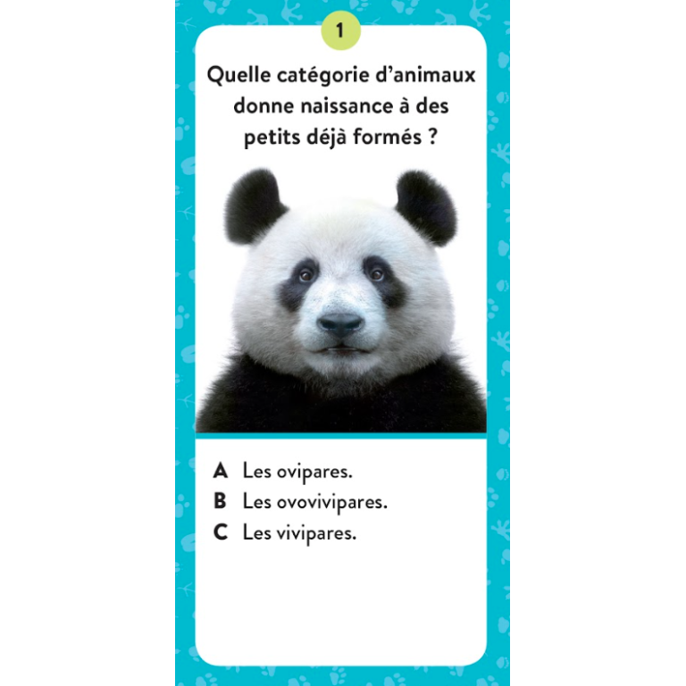 Le coffret du méga atlas des animaux