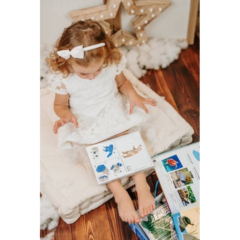 Le coffret du méga atlas des animaux