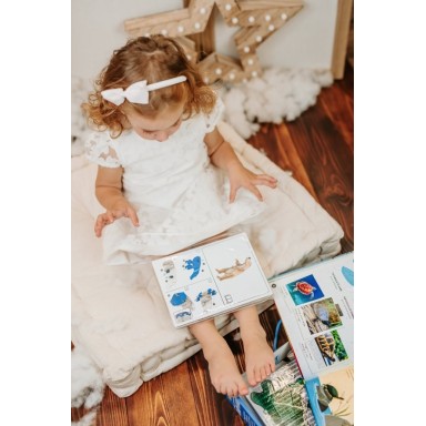 Le coffret du méga atlas des animaux