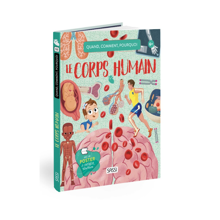 Quoi, comment, pourquoi. Le corps humain