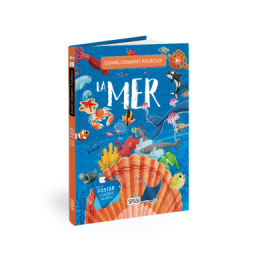 Quoi, comment, pourquoi. La mer