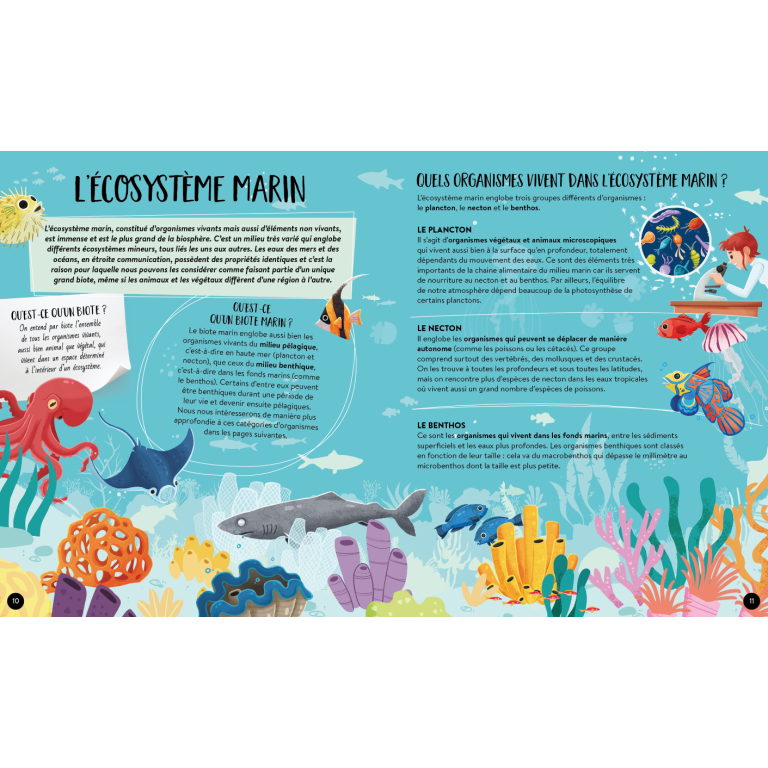 Quoi, comment, pourquoi. La mer