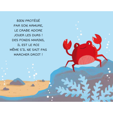 La mia prima biblioteca. Leggo e imparo