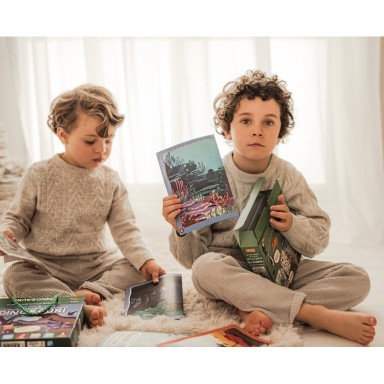 Mes premières activités arts & crafts. Les dinosaures