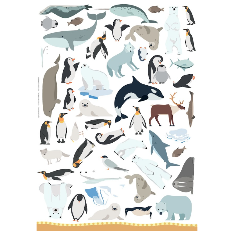 Arts&crafts. Les Animaux