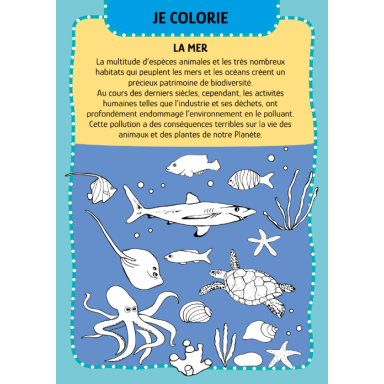 Arts & Craft. La mer