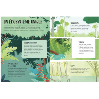 La planète en danger. L'amazonie (Outlet)