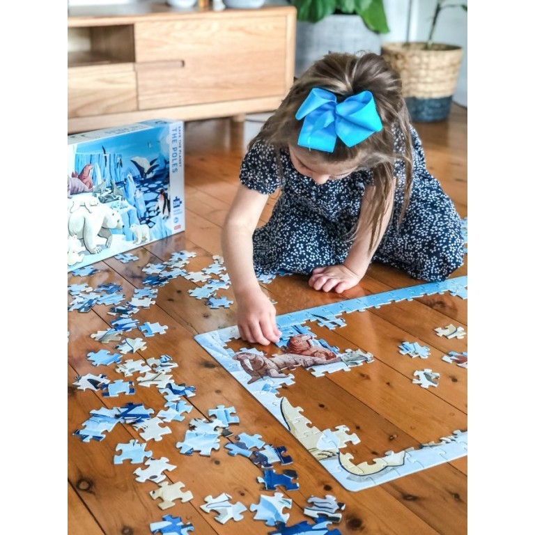 La planète en danger. Les glaces (Outlet)