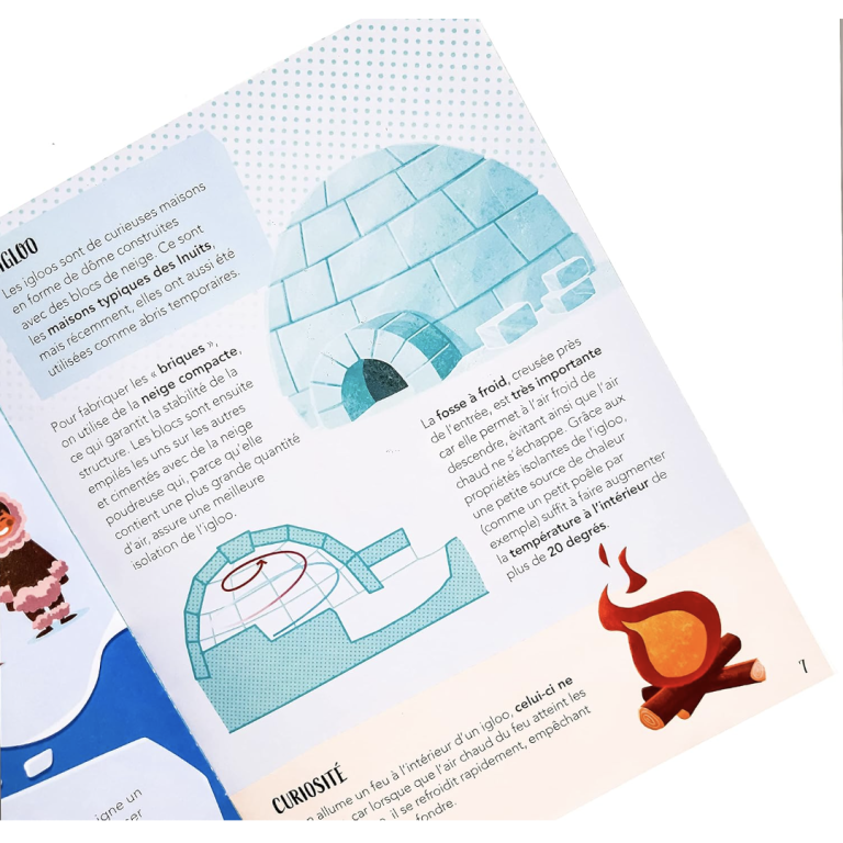 La planète en danger. Les glaces (Outlet)