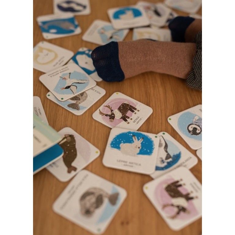 Protégeons les animaux. La banquise