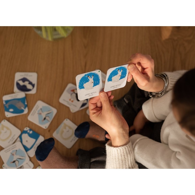 Protégeons les animaux. La banquise