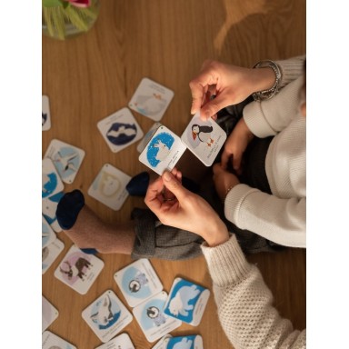 Protégeons les animaux. La banquise