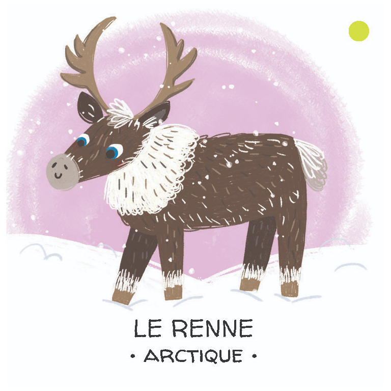 Protégeons les animaux. La banquise