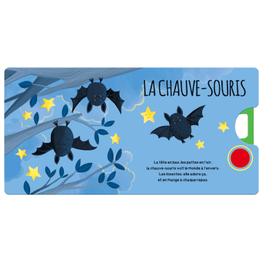 Livres sonores. La forêt (Outlet)