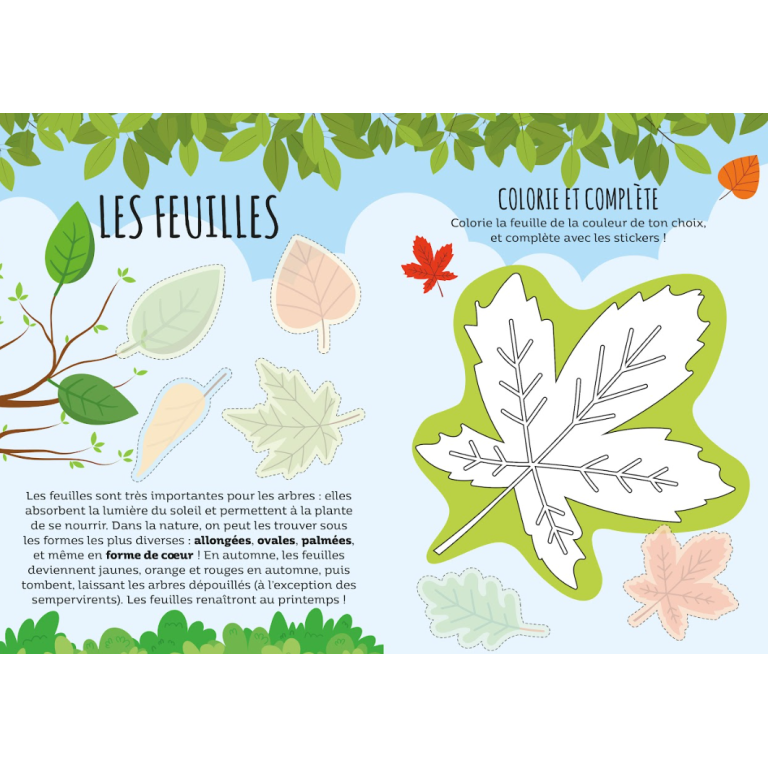 Le menteur. La nature