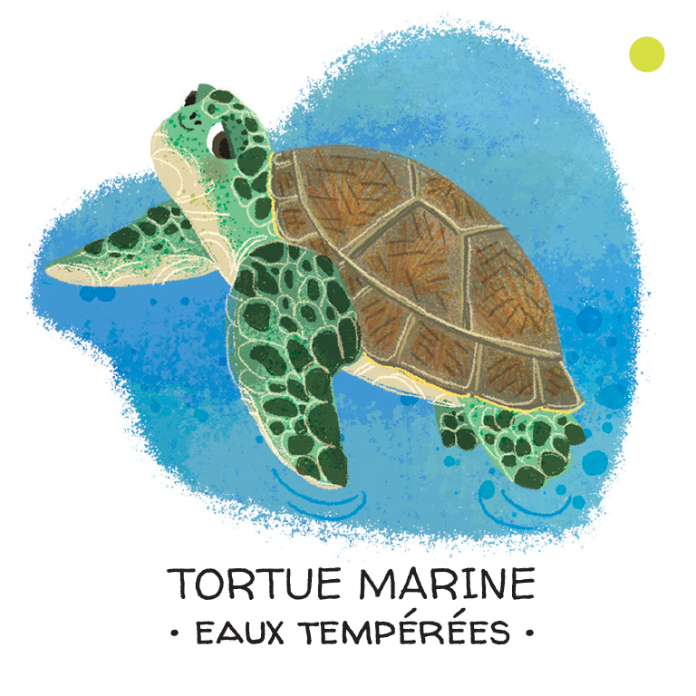 Protégeons les animaux. Mers et océans