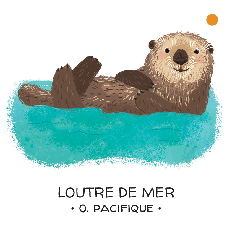 Protégeons les animaux. Mers et océans