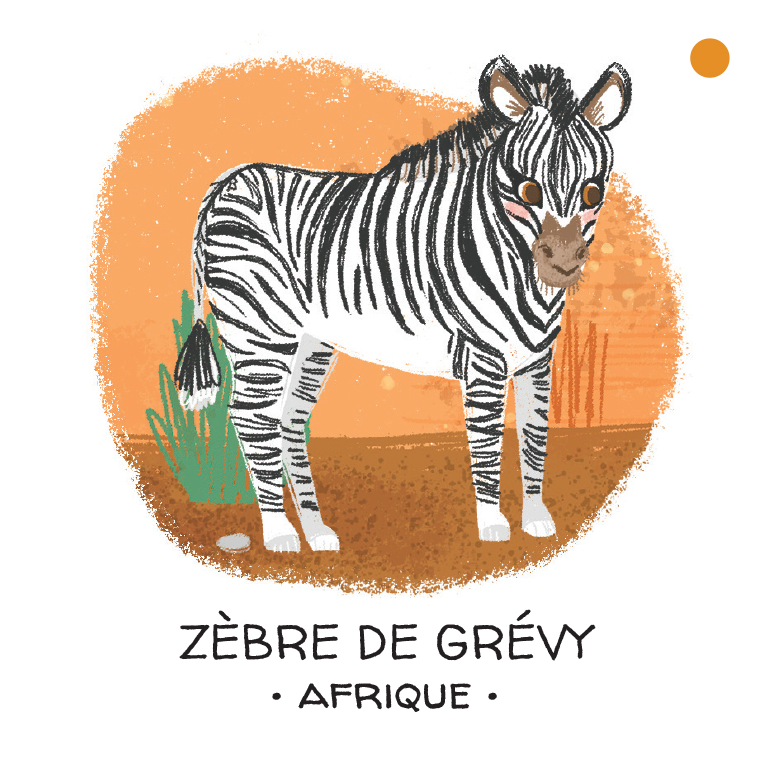 Protégeons les animaux. Déserts et savanes