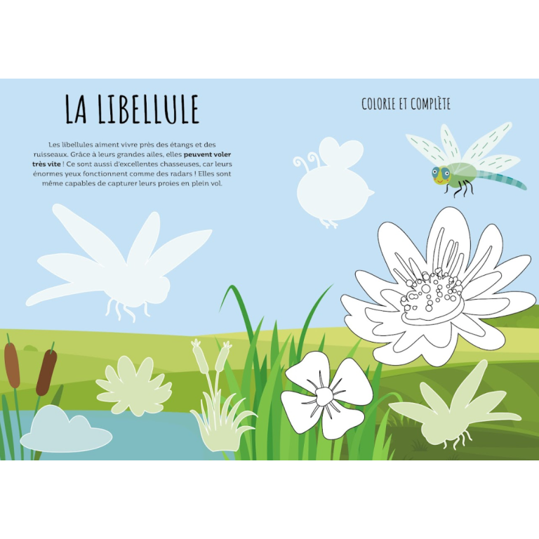 Le jardin. Stickers et activités