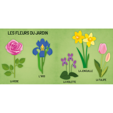 Q-box. Le monde des fleurs