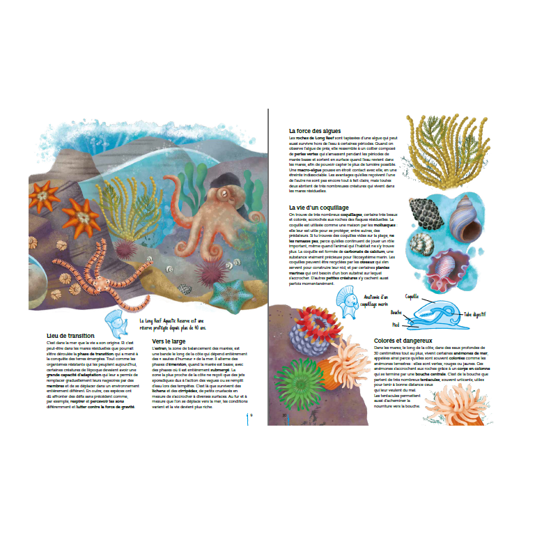 Atlas de la biodiversité. Mers et océans