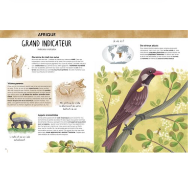 Atlas de la biodiversité. Animaux insolites et curieux