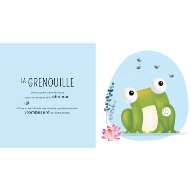 Les petits habitants de la jungle