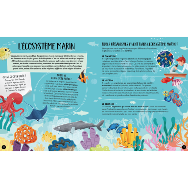 Les petits habitants de la jungle