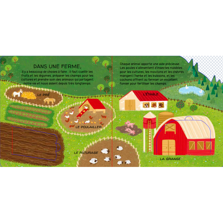 Nos amis les animaux. À la ferme