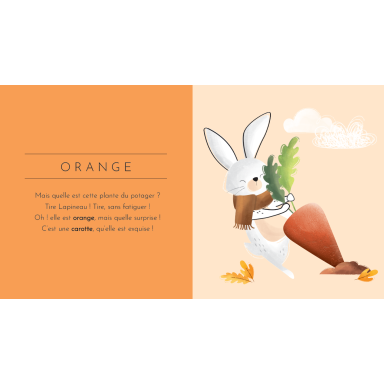 Touche à tout ! Les couleurs