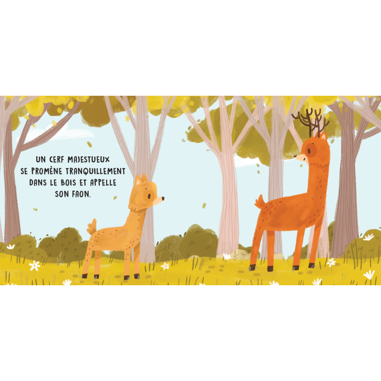 Douces histoires sonores. Le bois