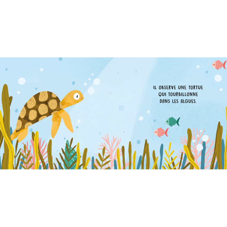 Douces histoires sonores. La mer