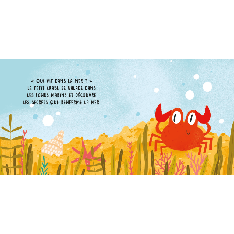 Douces histoires sonores. La mer