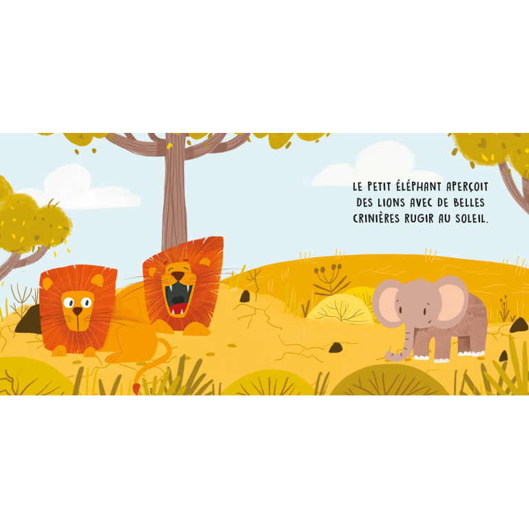 Douces histoires sonores. La savane