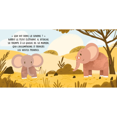 Douces histoires sonores. La savane