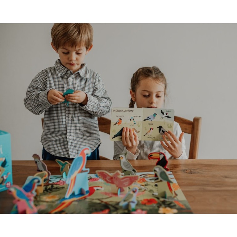 Q-box. Le monde des oiseaux