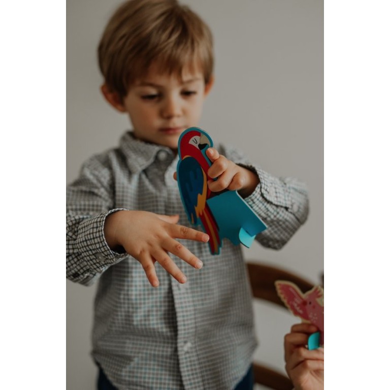 Q-box. Le monde des oiseaux