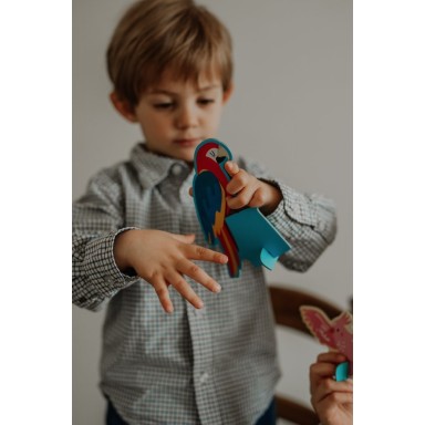 Q-box. Le monde des oiseaux