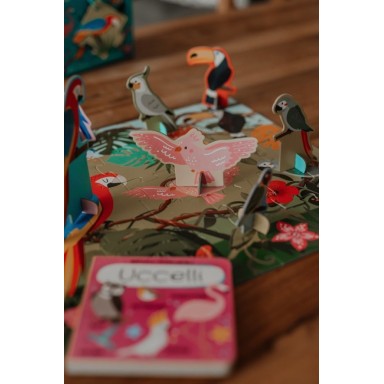 Q-box. Le monde des oiseaux