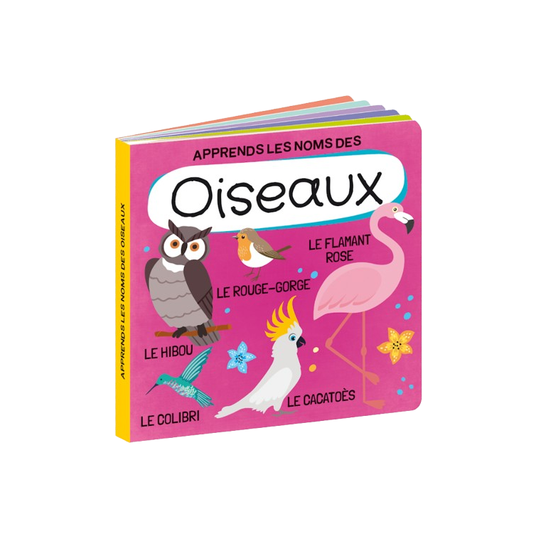 Q-box. Le monde des oiseaux