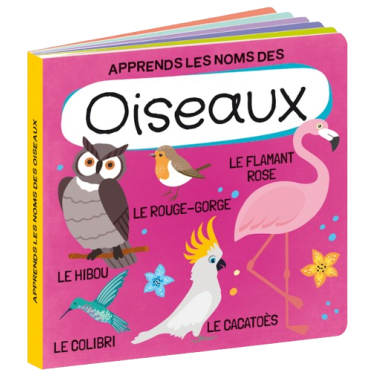 Q-box. Le monde des oiseaux