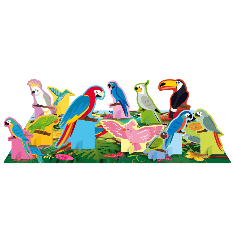 Q-box. Le monde des oiseaux