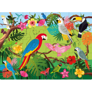 Q-box. Le monde des oiseaux